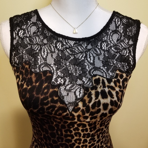 Leopard - Picture 2 of 4